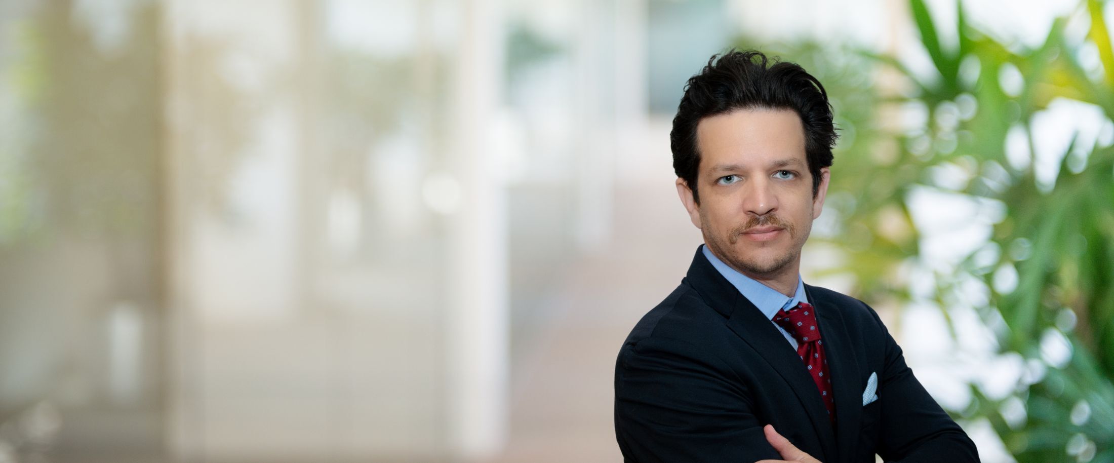 Steven Ehrlich, Cole, Scott & Kissane, P.A. Photo