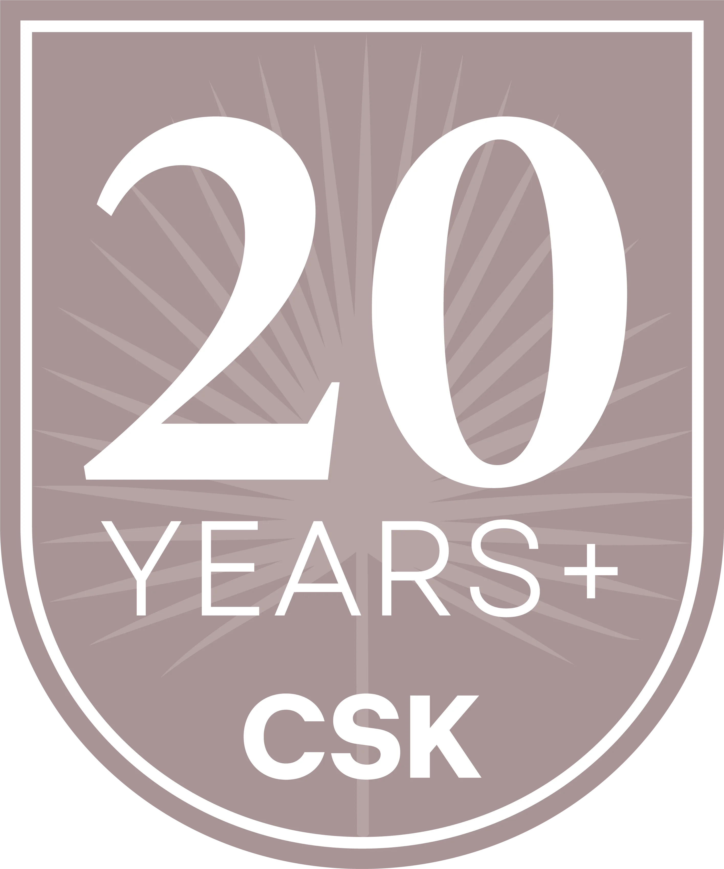 20 Years Milestone Badge